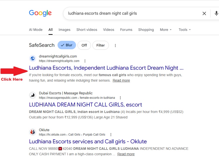 ludhiana-escort-hub-google